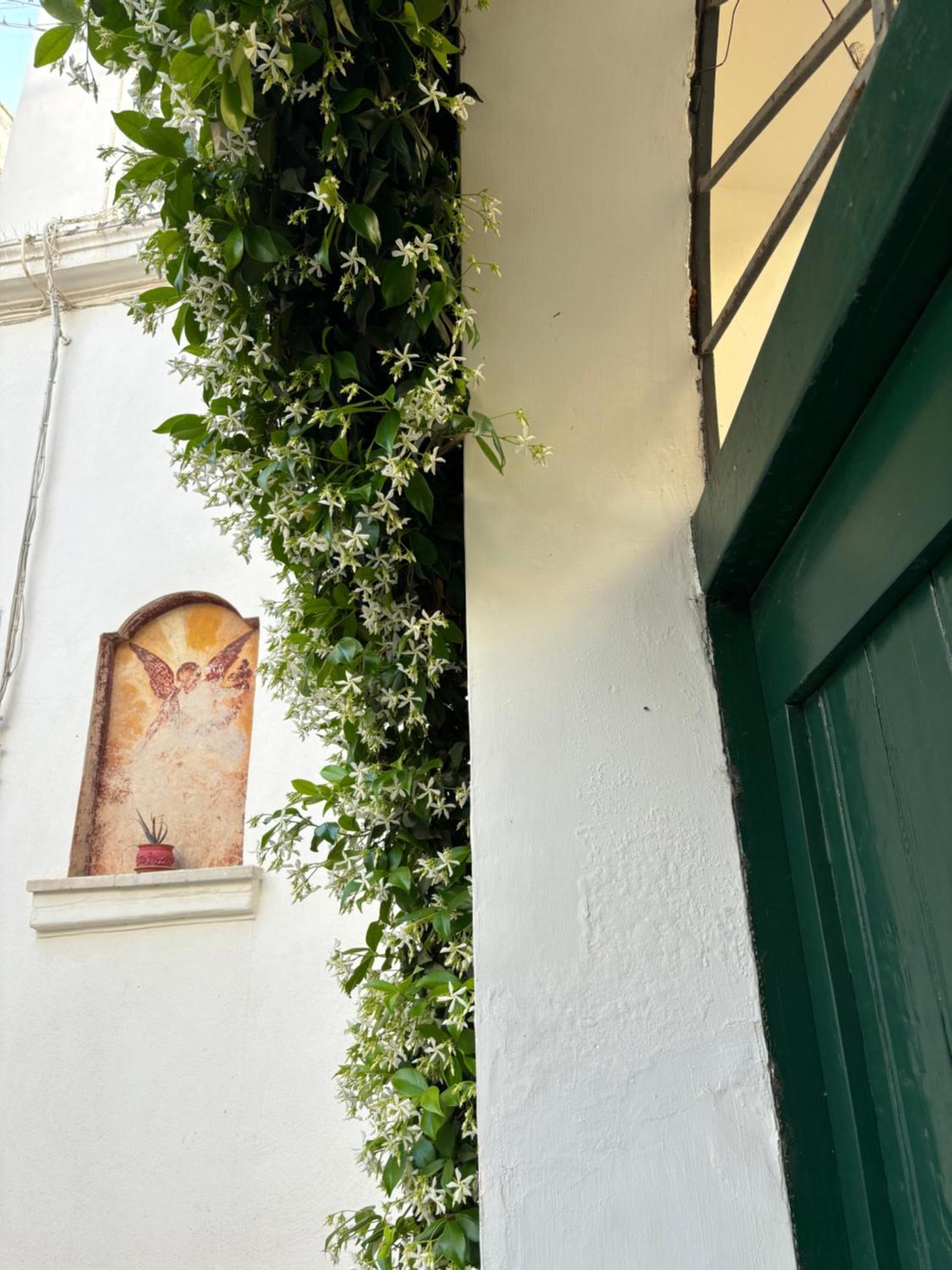 B&B Antica Dimora Dell'Angelo Nardò Exteriér fotografie
